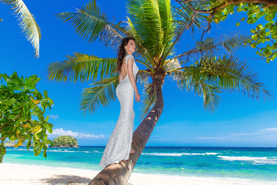 Young beautiful bride in white wedding dress on the palm tree on