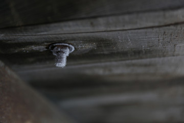 Wood Texture