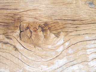 Gnarl wood .