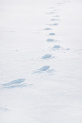 Footprints in deep snow