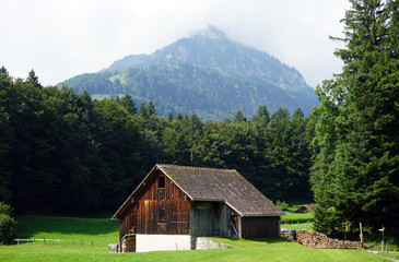 Shed with firewood