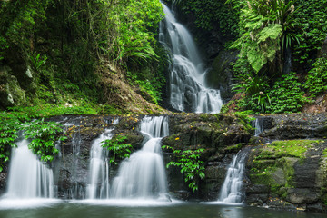 Obraz premium Waterfall in Lamington National Park in Queensland, Australia.