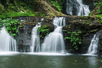 Fototapeta na wymiar Waterfall in Lamington National Park in Queensland, Australia.