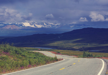 Fototapeta premium Denali highway