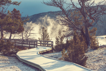 Mammoth Hot Springs