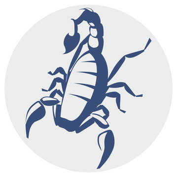 Scorpion, vector icon