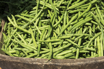 Grüne Bohnen.