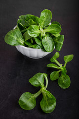Fresh lamb's lettuce in white bowl
