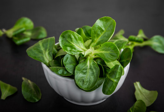 Fresh lamb's lettuce in white bowl