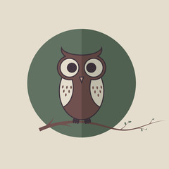 Cute lowlet on the branch