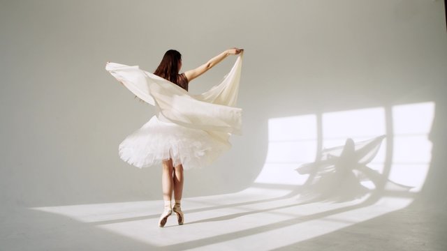 silhouette of ballerina in classical tutu in the white studio.