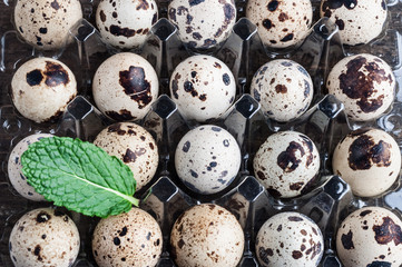 Quail eggs in plastic container