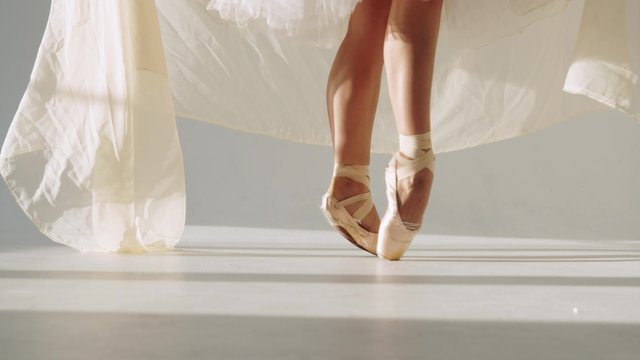 silhouette of ballerina in classical tutu in the white studio.