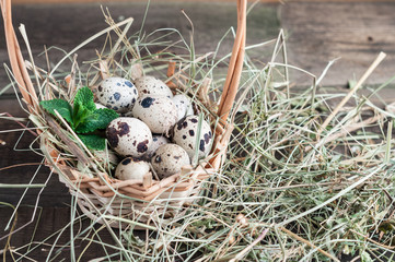 quail eggs in a basket with the hay