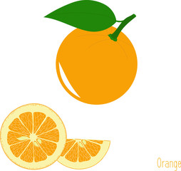Orange slices, collection of vector illustrations on a transparent background