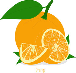 Orange slices, collection of vector illustrations on a transparent background