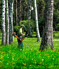 Image of working with the mower in a park close-up