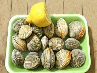 fresh greek seafood kydonia shells bivalve shells with lemon from Aegean sea
