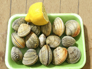 fresh greek seafood kydonia shells bivalve shells with lemon from Aegean sea © photo_stella