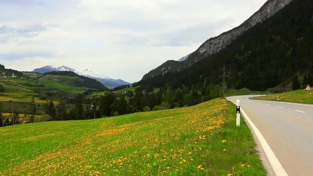 Zoom in shot of vehicles passing through a flower field, St. Moritz, Engadine Valley, Switzerland