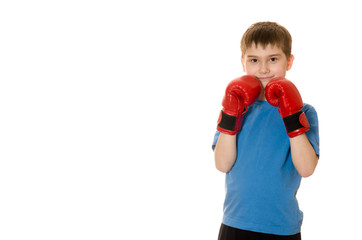 little boy in boxing gloves on a white background