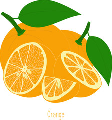 Orange slices, collection of vector illustrations on a transparent background