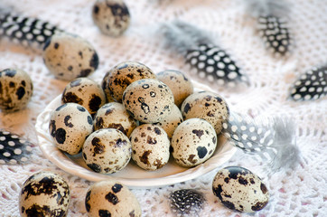 Quail eggs on a platter on the table and feathers
