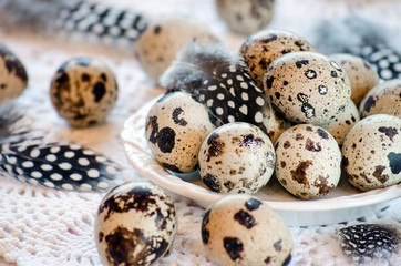 Obraz premium Quail eggs on a platter on the table and feathers