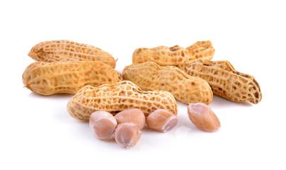 peanut on white background
