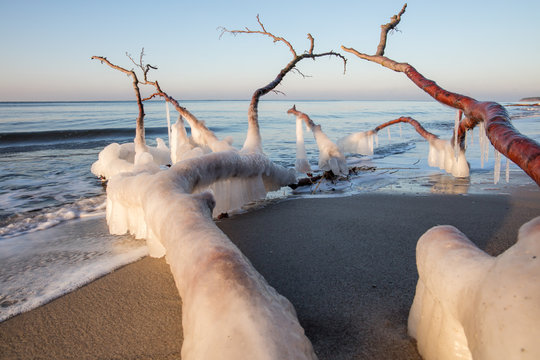 holz im meer