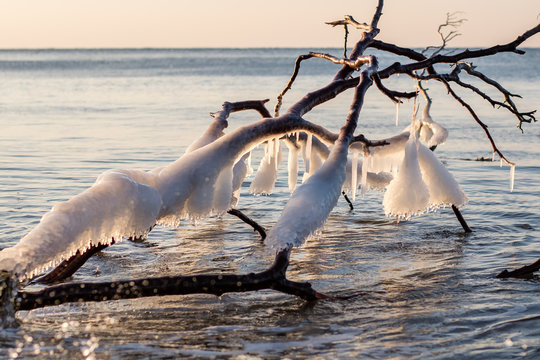 eisglocken