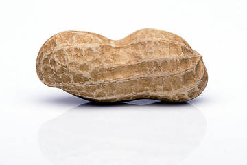 groundnut on white background
