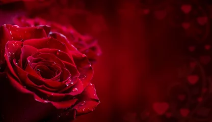 Fotobehang Roos. Rode rozen. Boeket van rode rozen. Valentijnsdag, trouwdag achtergrond. Rozenblaadjes en harten Valentijn geschenkdozen. Valentines en bruiloft grens. Waterdruppels op rozenblaadjes. © weyo