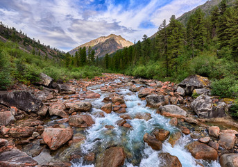Rapid mountain river flows