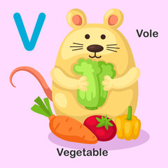 Illustration Isolated Animal Alphabet Letter V-Vole,Vegetable