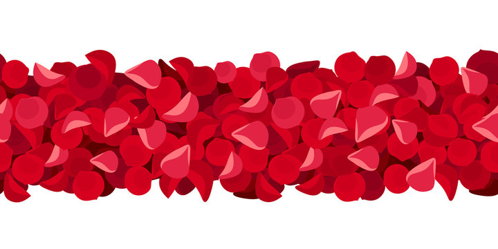 Vector horizontal seamless background with red rose petals. 