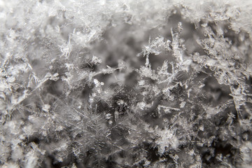 real macro close-up of snowflakes lying a handful 