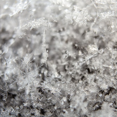 real macro close-up of snowflakes lying a handful 