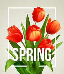 Spring text with  tulip flower. Vector illustration - obrazy, fototapety, plakaty