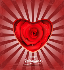 Valentine's day greeting card with red rose.