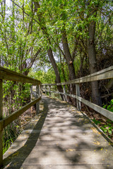 scenic wooden boardwalk