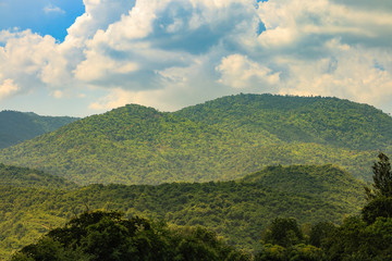 Sunlight drop on Mountain meadow at Suanphueng in Thailand