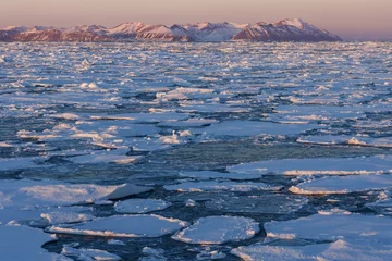 Foto op Plexiglas Arctica Zee-ijs - Groenland