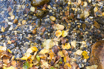 colored stones under water as background