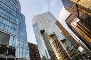 toronto glassed urban skyscrapers