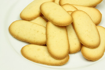 langues de chat 12012016