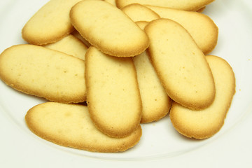 langues de chat 12012016