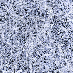 Snowy needles background Minimal style