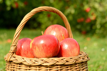 Close-up detail of wicker basket full of red apples