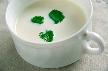 Minty Garlicky Yogurt Sauce
